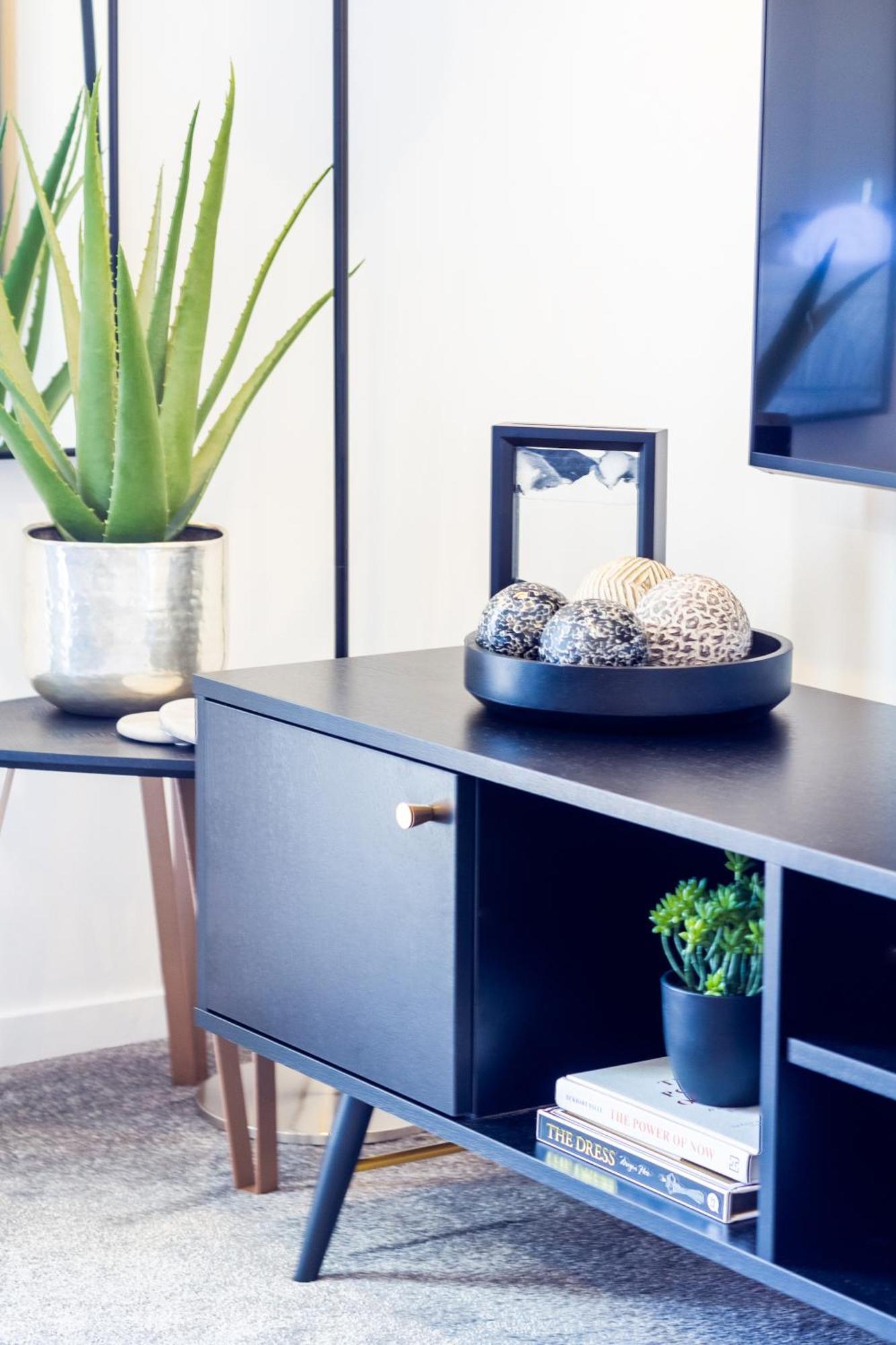 Central City Charm: Pet-Friendly Studio Christchurch Exterior photo