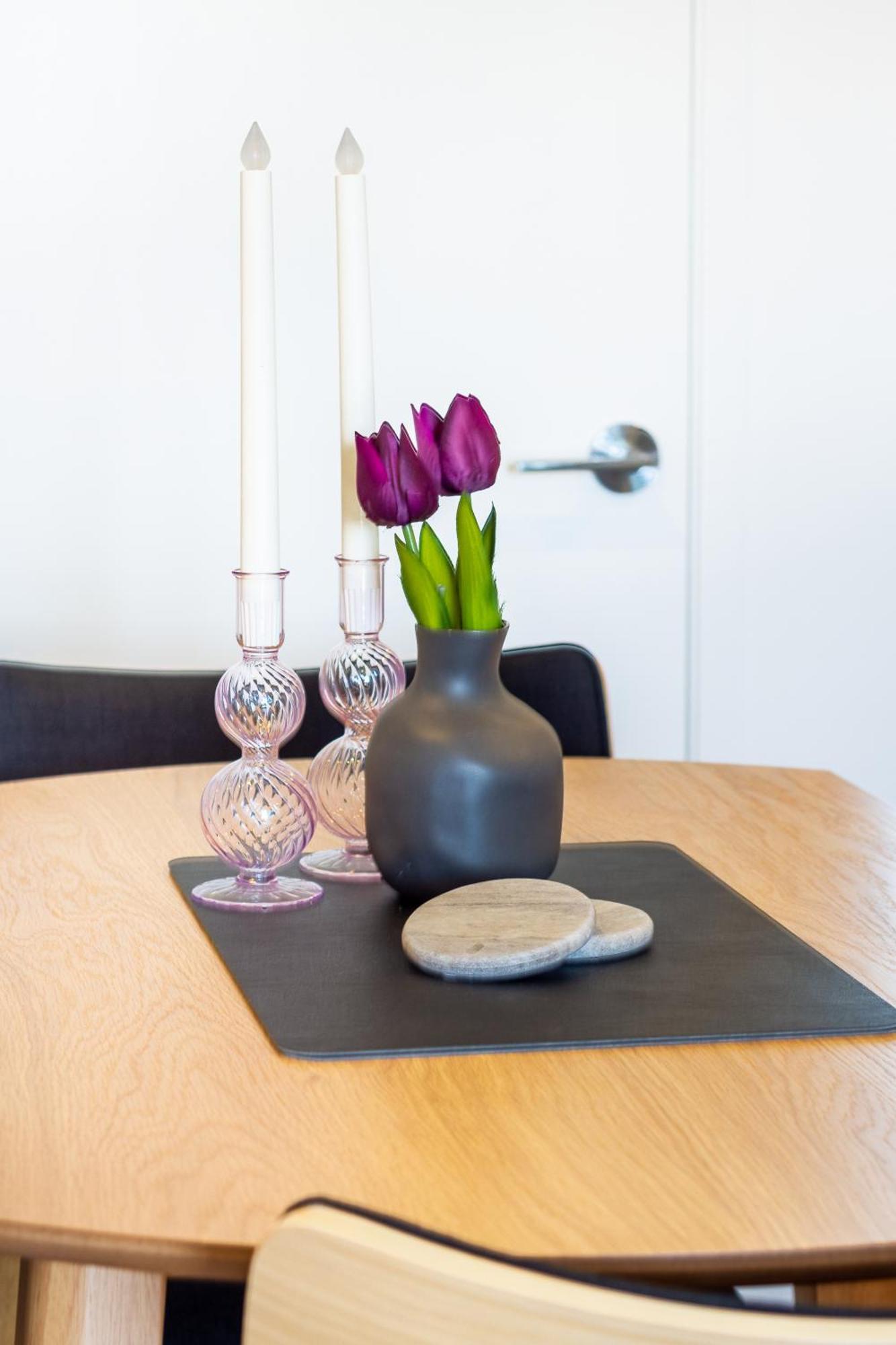 Central City Charm: Pet-Friendly Studio Christchurch Exterior photo